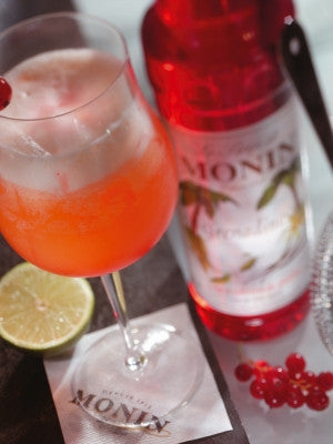 Monin Sirup - FestFest - Alt du har brug for til en genial fest! - 14