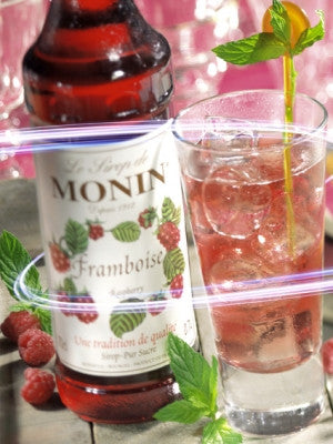 Monin Sirup - FestFest - Alt du har brug for til en genial fest! - 5